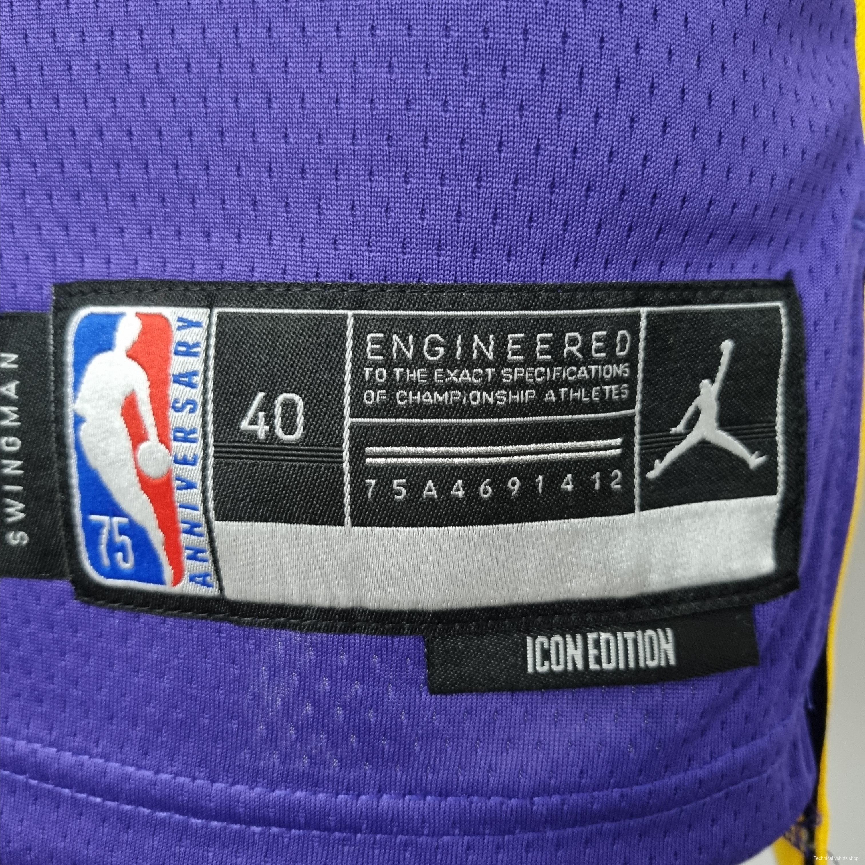 75th Anniversary Howard #39 Los Angeles Lakers Jordan Purple NBA Jersey