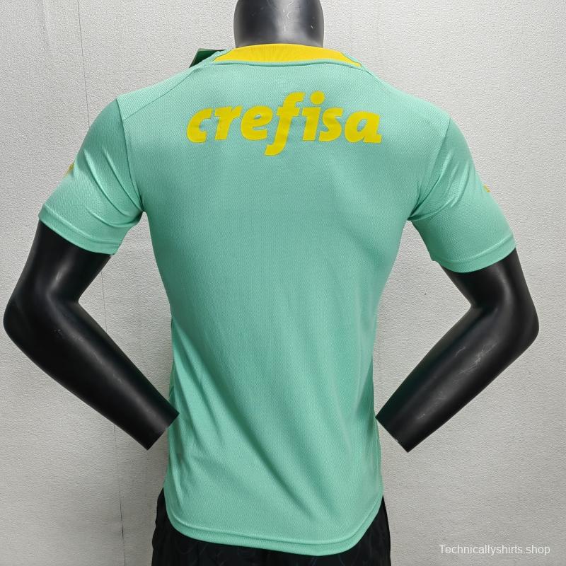 Fans Version 22/23 Palmeiras Green Special Jersey