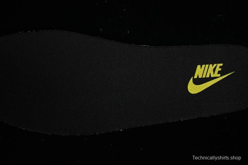 Nike Dunk Low SB Skateboarding Shoes - 302517-236