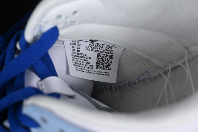 Nike Dunk Low SB Skateboarding Shoes - FD2562-300