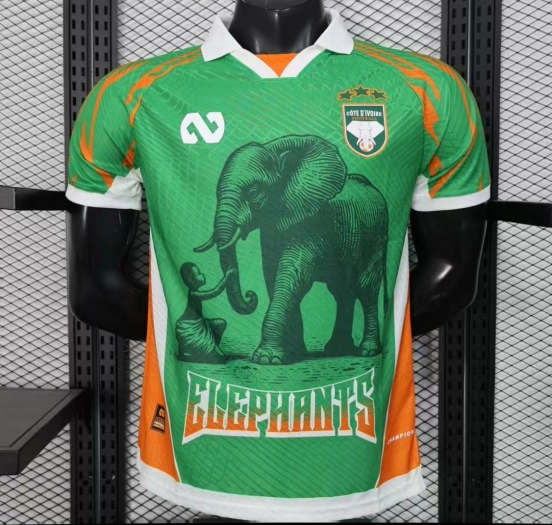 Player Version 2025 Ivory Coast Green with Elephant Graphic and Orange Trim Jersey